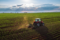 Tractor cultivating field at spring