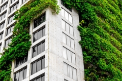 Urban high-rise with green vertical garden on concrete facade