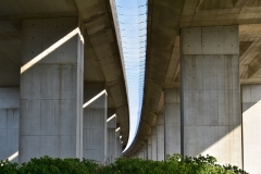 Scenery under the highway overpass.