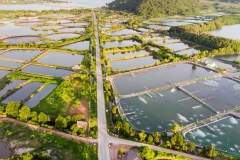 Aerial view of shrimp farm and air purifier in Thailand. Continuous growing aquaculture business is exported to the international market.