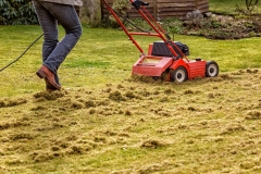 Dethatching the Lawn with an Electric Dethatcher