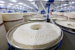 Cotton yarn on spinning line