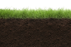 Soil with lush green grass on white background