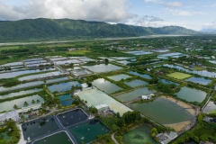 Top view of fish pond and field in Hualien of Taiwan