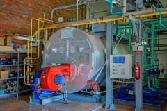Steam boiler