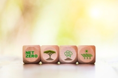 Net zero icon at wood box on wonder floor at concrete wall background. net zero for environmental, social, sustainable and ethical. Net zero emission Idea innovative carbon neutrality in 2050.