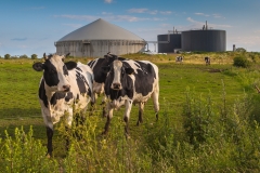 Biogas plant on a farm