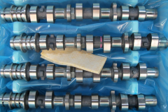 BioPad-camshafts