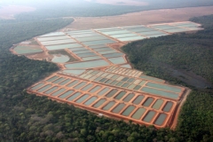 Brazil-Fish-Farm