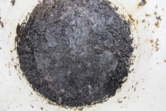 CorShield-PR-2021-08-02