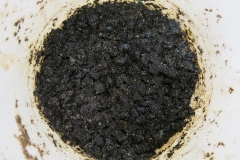 CorShield-PR-2021-08-03