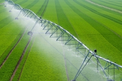 Center Pivot Irrigation System in a green Field