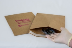 EcoSonic-ESD-VpCI-Paper-03