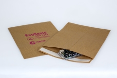 EcoSonic-ESD-VpCI-Paper-04