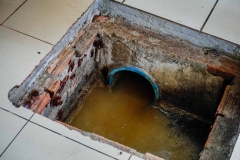 Grease trap, waste disposal