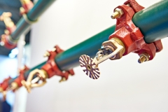 Sprinkler heads sprayers of fire extinguishing systems