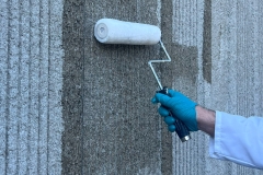 MCI-Roller-Application