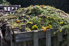 Organic compost with green waste  -  process which makes natural ferteliser from food and garden waste.