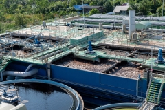 Waste water treatment ponds from industrial plants