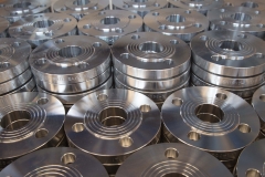 Stainless steel flanges