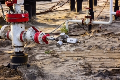 Christmas tree oil well with device for measuring the level of oil in the pipes