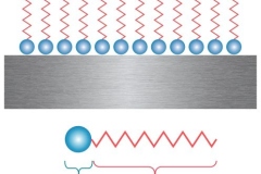 VpCI-Adsorption