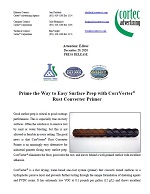 Prime the Way to Easy Surface Prep with CorrVerter® Rust Converter Primer