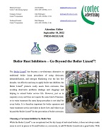 PRESS RELEASE: Boiler Rust Inhibitors – Go Beyond the Boiler Lizard®!