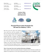 PRESS RELEASE: Practical Preservation Strategies for Oil and Gas Industry Valves