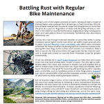 NEWS ALERT: Battling Rust with Regular Bike Maintenance